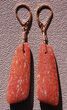 Pink Agatized Dinosaur Bone Earrings #5251-1